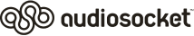 audioSocket