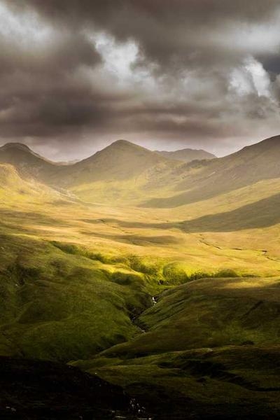 The Crown
